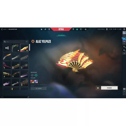  ALAZ YELPAZELİ HESAP